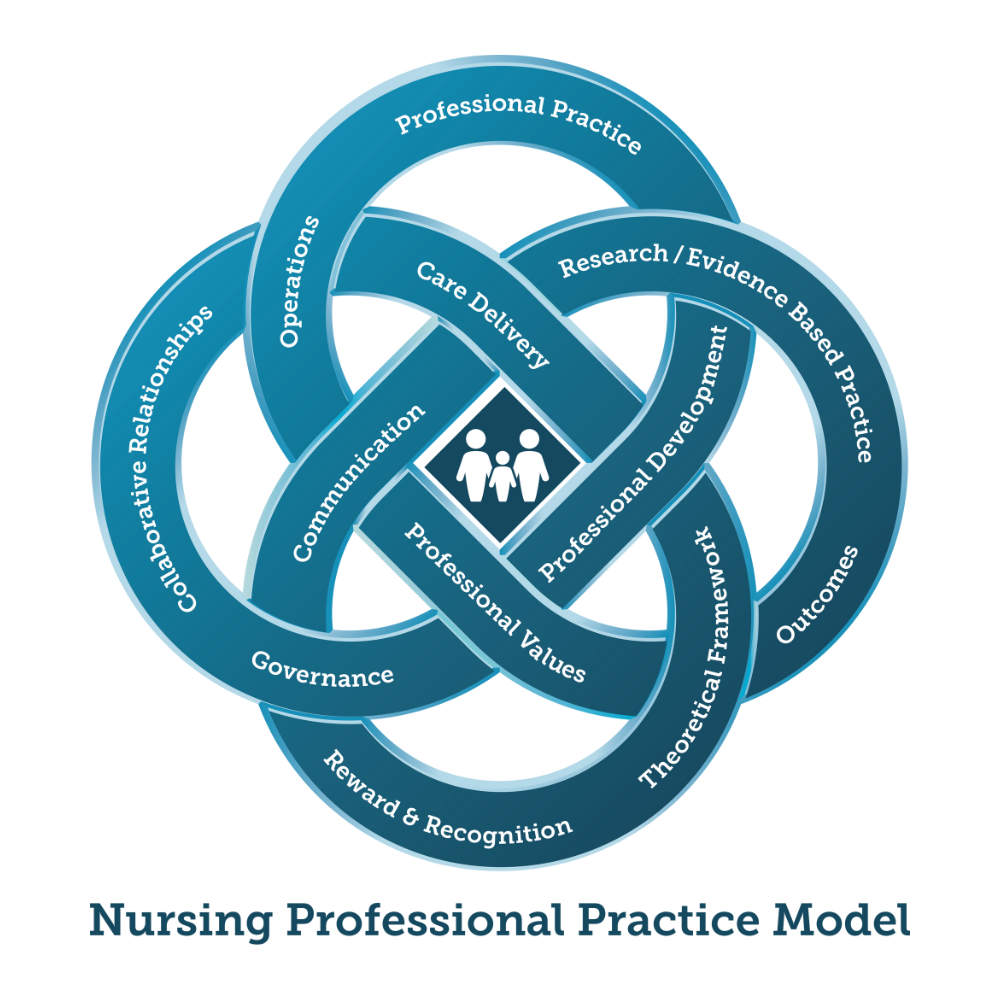 Nursing Professional Practice Model Valley Children s Healthcare